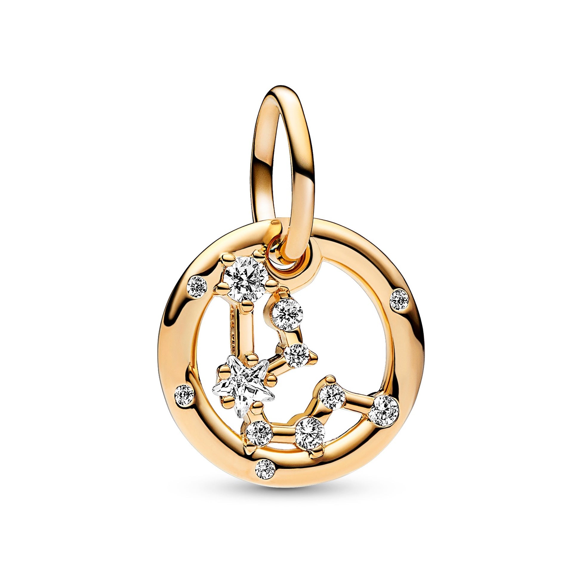 Aquarius Zodiac Dangle Charm