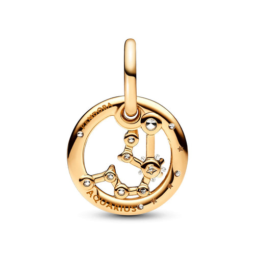 Aquarius Zodiac Dangle Charm